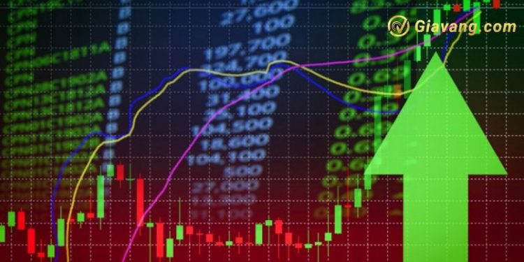 Chứng khoán hôm nay 08/11/2024: VN-Index tăng 1,263.63 điểm 1 Chứng khoán hôm nay 08/11/2024: VN-Index tăng 1,263.63 điểm