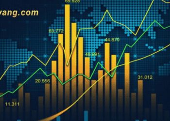 Chứng khoán hôm nay 19/11/2024: VN-Index giảm hơn 3 điểm