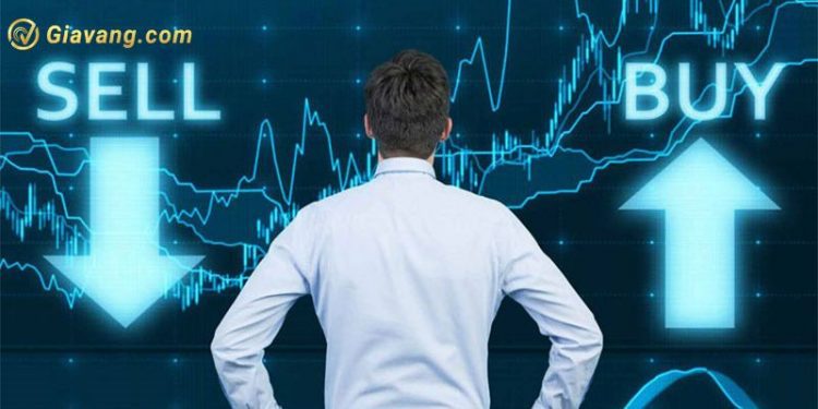 Chứng khoán hôm nay 22/11/2024: VN-Index tăng hơn 3 điểm