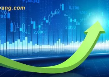 Chứng khoán hôm nay 28/11/2024: VN-Index tăng 6.55 điểm