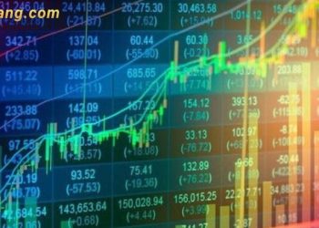 Chứng khoán hôm nay 29/11/2024: Các chỉ số tăng giảm trái chiều