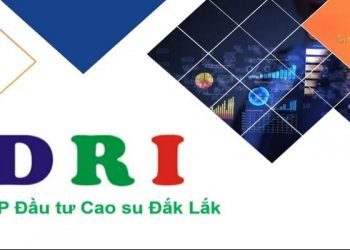 Giá cổ phiếu DRI hôm nay - Tiềm năng cổ phiếu DRI trong tương lai 8 Giá cổ phiếu DRI hôm nay - Tiềm năng cổ phiếu DRI trong tương lai