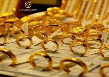 Giá vàng trong nước hôm nay 14/11/2024: Vàng nhẫn biến động trái chiều