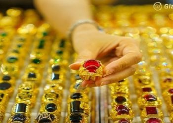 Giá vàng trong nước hôm nay 21/11/2024: Tăng ngày thứ ba liên tiếp, SJC tiến sát mốc 86 triệu đồng/lượng