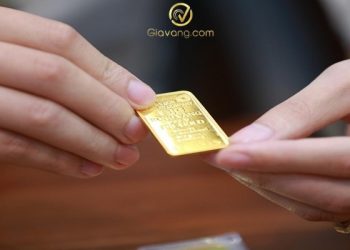 Giá vàng trong nước hôm nay 23/11/2024: Tăng chóng mặt, chưa có dấu hiệu hạ nhiệt