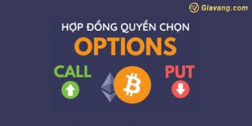 Hợp đồng quyền chọn là gì? Ví dụ về hợp đồng quyền chọn 5 Hợp đồng quyền chọn là gì? Ví dụ về hợp đồng quyền chọn