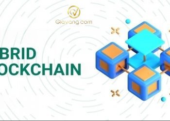 Hybrid Blockchain là gì? Tất tần tật từ A-Z về công nghệ Hybrid Blockchain