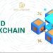 Hybrid Blockchain là gì? Tất tần tật từ A-Z về công nghệ Hybrid Blockchain