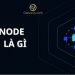 Light Node là gì? Ưu và nhược điểm khi chạy Light Node