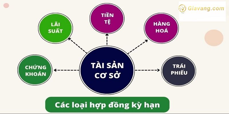 Hop dong ky han co may loai