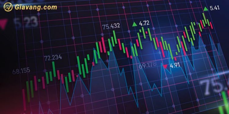 Chứng khoán hôm nay 19/12/2024: Sắc đỏ bao trùm thị trường