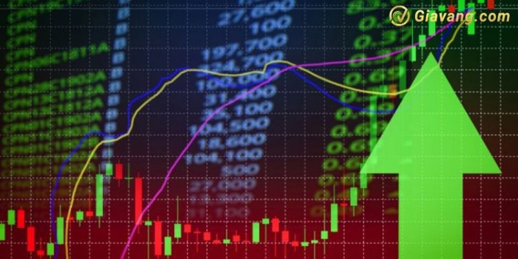 Chứng khoán hôm nay 23/12/2024: VN-Index giằng có trên tham chiếu 1 Chứng khoán hôm nay 23/12/2024: VN-Index giằng có trên tham chiếu