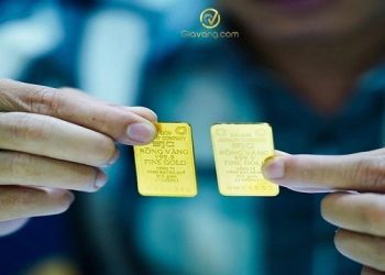 Giá vàng trong nước hôm nay 16/12/2024: Vàng miếng SJC “ổn định” ở mốc 86,3 triệu đồng/lượng