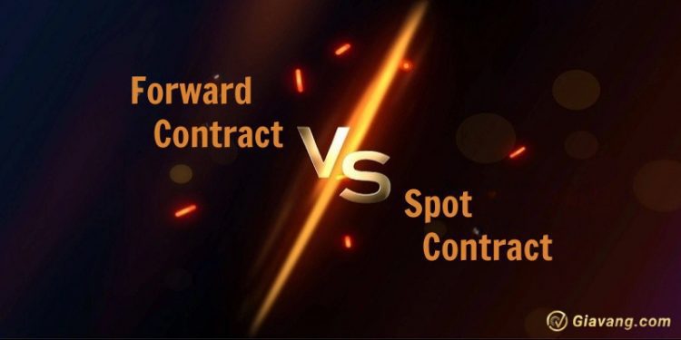 Hợp đồng kỳ hạn và hợp đồng giao ngay