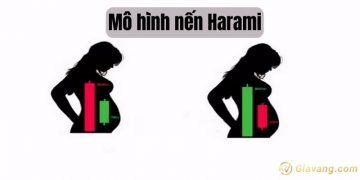 Mô hình nến Harami là gì? Ý nghĩa và cách giao dịch với mô hình nến Mẹ bồng con