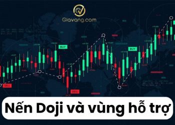 Nến Doji và vùng hỗ trợ: Cách nhận diện tín hiệu đảo chiều chính xác