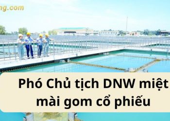 Phó Chủ tịch DNW miệt mài gom cổ phiếu cuối năm