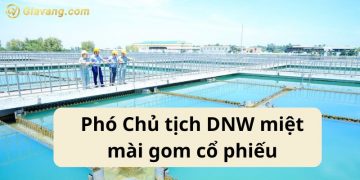 Phó Chủ tịch DNW miệt mài gom cổ phiếu cuối năm 8 Phó Chủ tịch DNW miệt mài gom cổ phiếu cuối năm