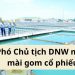 Phó Chủ tịch DNW miệt mài gom cổ phiếu cuối năm