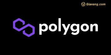 Polygon (MATIC) là gì? Tương lai đồng MATIC? Giá Polygon (MATIC) 6 Polygon (MATIC) là gì? Tương lai đồng MATIC? Giá Polygon (MATIC)