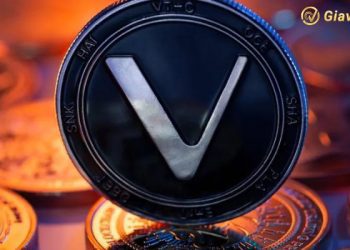 VeChain (VET) là gì? Dự đoán giá VET (VeChain) trong tương lai