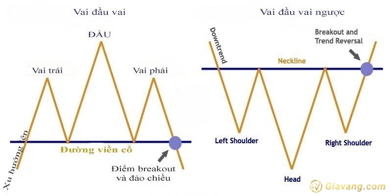 Mo hinh vai dau vai