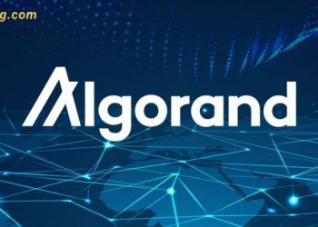 Algorand (ALGO) là gì? Tỷ giá ALGO Coin hôm nay bao nhiêu?