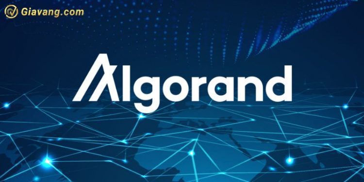 Algorand (ALGO) là gì? Tỷ giá ALGO Coin hôm nay bao nhiêu? 1 Algorand (ALGO) là gì? Tỷ giá ALGO Coin hôm nay bao nhiêu?