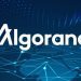 Algorand (ALGO) là gì? Tỷ giá ALGO Coin hôm nay bao nhiêu? 12 Algorand (ALGO) là gì? Tỷ giá ALGO Coin hôm nay bao nhiêu?
