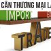 Cán cân thương mại là gì? Cách tính cán cân thương mại chuẩn xác 7 Cán cân thương mại là gì? Cách tính cán cân thương mại chuẩn xác