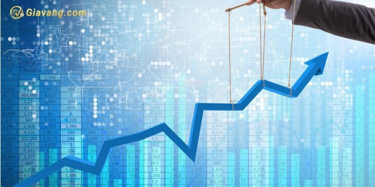 Chứng khoán hôm nay 08/01/2025: Áp lực bán tiếp tục gia tăng 1 Chứng khoán hôm nay 08/01/2025: Áp lực bán tiếp tục gia tăng