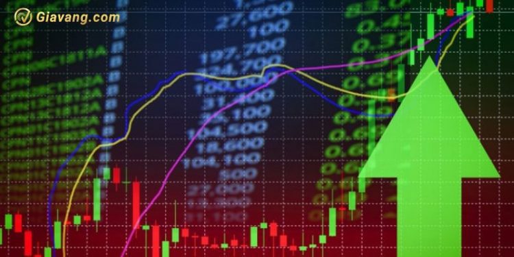 Chứng khoán hôm nay 15/01/2025: VN-Index lên mức 1,233.07 điểm 1 Chứng khoán hôm nay 15/01/2025: VN-Index lên mức 1,233.07 điểm