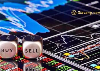 Chứng khoán hôm nay 16/01/2025: VN-Index mở cửa tại mốc 1,241.49