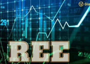 Nhận định cổ phiếu REE mới nhất - Lịch sử giá cổ phiếu REE