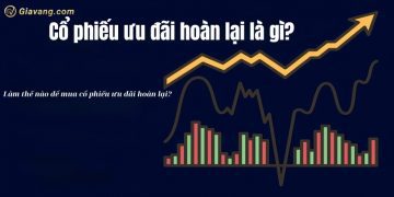 Cổ phiếu ưu đãi hoàn lại là gì? Làm sao mua được cổ phiếu ưu đãi hoàn lại? 5 Cổ phiếu ưu đãi hoàn lại là gì? Làm sao mua được cổ phiếu ưu đãi hoàn lại?