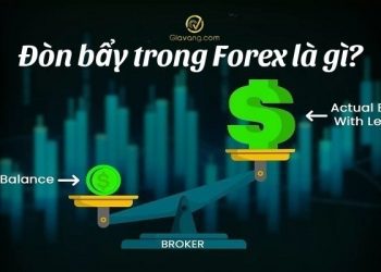 Đòn bẩy là gì? Top sàn forex có đòn bẩy cao nhất hiện nay