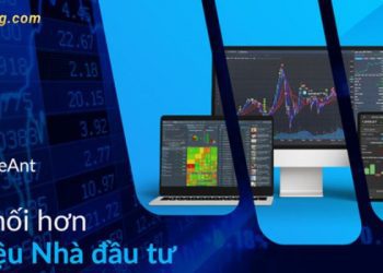 FireAnt là công ty gì? Cách sử dụng Fireant trên điện thoại