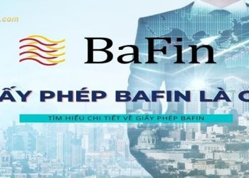 Giấy phép BaFin là gì? Trader được bảo vệ như thế nào từ BaFin?