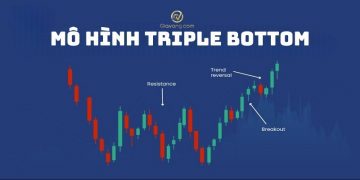 Mô hình Triple Bottom là gì? Hướng dẫn giao dịch Forex với mô hình Triple Bottom
