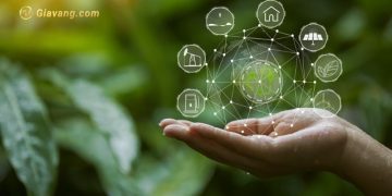 Tài chính xanh là gì? Các công cụ tài chính xanh phổ biến nhất