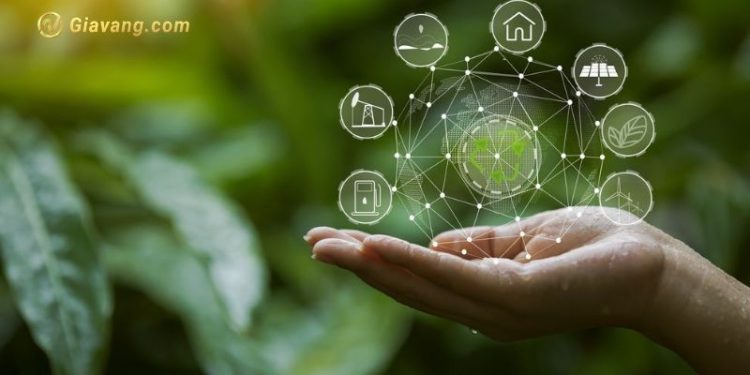 Tài chính xanh là gì? Các công cụ tài chính xanh phổ biến nhất