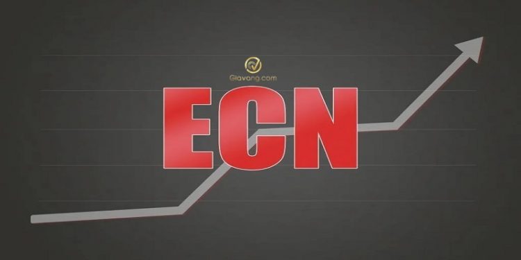 Tài khoản ECN là gì? Top 3 sàn Forex hỗ trợ ECN tốt nhất hiện nay