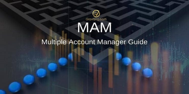 Tài khoản MAM là gì? Tất tần tật kiến thức về tài khoản MAM