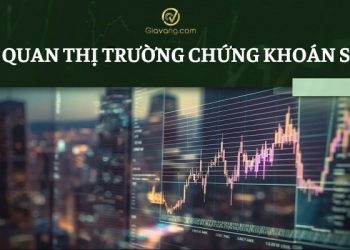 Thị trường chứng khoán sơ cấp là gì? Tổng quan về thị trường chứng khoán sơ cấp