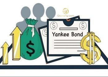 Trái phiếu Yankee là gì? Có nên đầu tư vào trái phiếu Yankee?