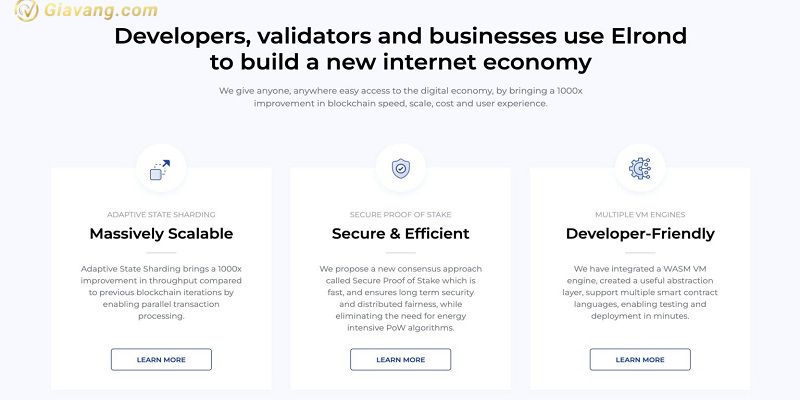 Blockchain cua Elrond Network co gi noi bat