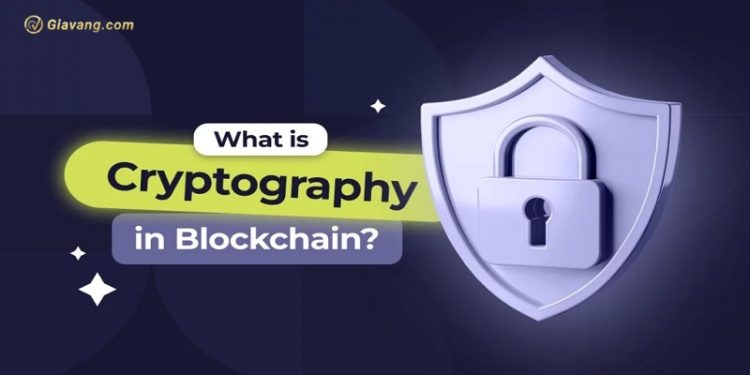 Cryptography là gì? Ứng dụng của mật mã học trong mạng lưới blockchain