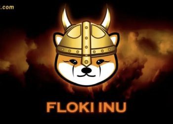 Floki Inu - Floki coin là gì? Floki coin có tiềm năng không?
