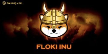 Floki Inu - Floki coin là gì? Floki coin có tiềm năng không? 8 Floki Inu - Floki coin là gì? Floki coin có tiềm năng không?