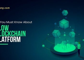 Flow Blockchain là gì? 5 phút “giải mã” tất tần tật về hệ sinh thái dành cho các NFT và Collectibles